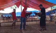 berita-pilihan-foto