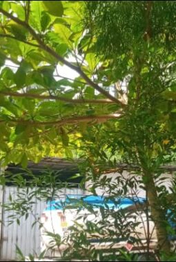 berita-rekomendasi-foto